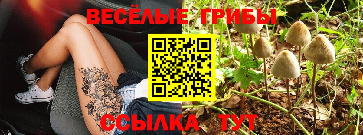 Галлюциногенные грибы MAGIC MUSHROOMS Красноперекопск