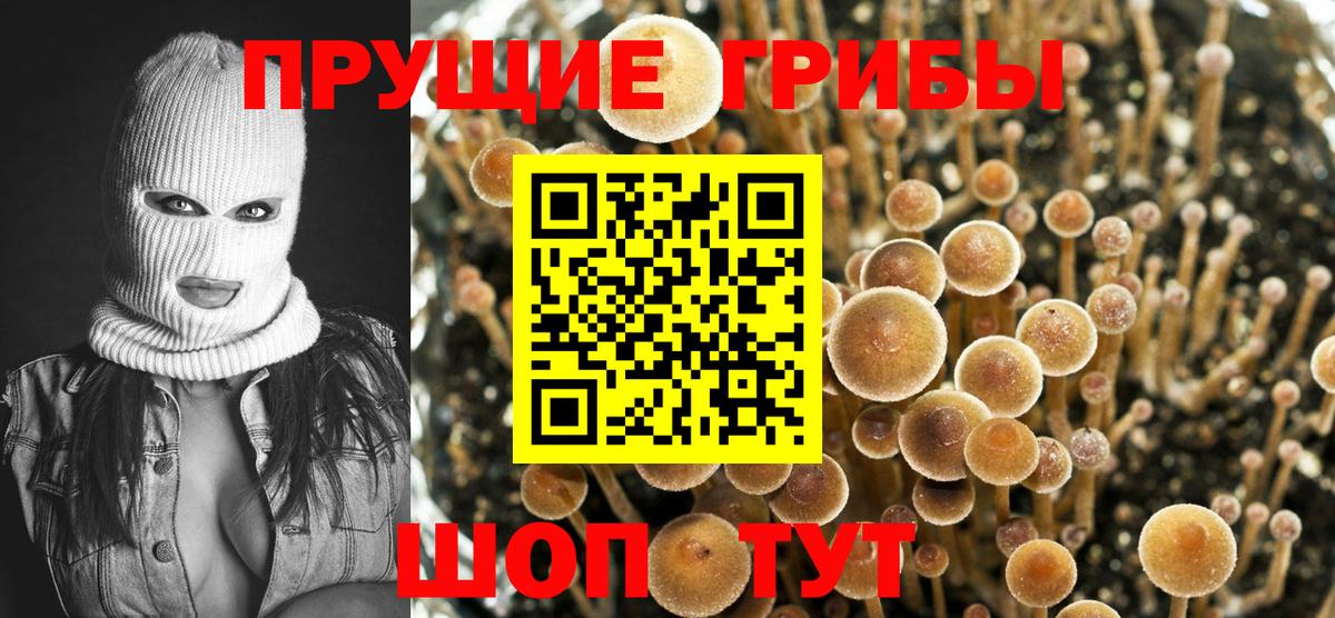 Псилоцибиновые грибы MAGIC MUSHROOMS  Вход с VPN  Красноперекопск 